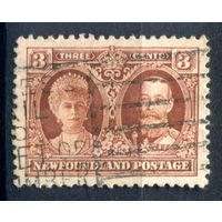 Британские колонии - Ньюфаундленд - 1929/31г. - король Георг V, королева Мария, 3 с - 1 марка - гашёная [Mi 147]. #3-WB-80-A-1