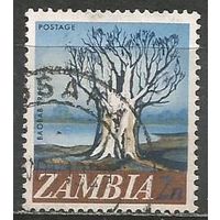 Замбия. Баобаб. 1968г. Mi#40.