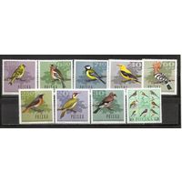 ФФ2 Польша 1966 Птицы