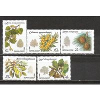 ФФ1 СССР 1980 Деревья