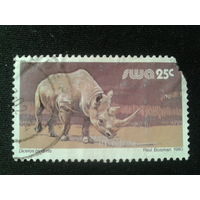 Юго-западная Африка, 1980. Носорог