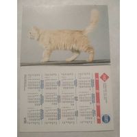 Карманный календарик. Котик.1994 год