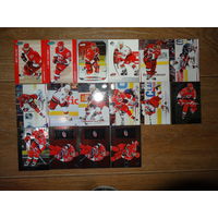 Хоккейные карточки.НХЛ. Carolina Hurricanes-16 карт