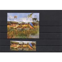 Болгария 2009.Фауна птицы Болгария-Сербия 2 марки+блок (4885)