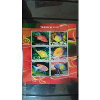 Блок рыбы морские обитатели MNH