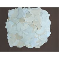 Советские пивные этикетки в типографском состоянии по 1 р. для коллекции, обмена, прибыльной перепродажи и др. целей, см. описание лота (3652)