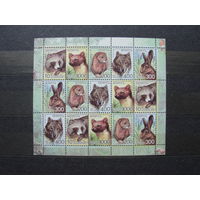 Продажа коллекции с 1 рубля! Чистые почтовые марки РБ в листах.