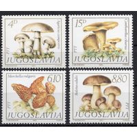 Югославия 1983. Флора. Грибы. 4 марки Mi 1977