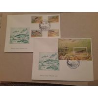 Беларусь 1997 кпд рыбы