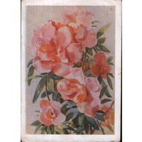 Подписанная открытка 1958г. "Цветы" худ. Д. Астапова