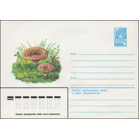 Художественный маркированный конверт СССР N 13464 (25.04.1979) Рыжик