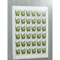 1987 СССР. Флора СССР - Папоротники. Листовик обыкновенный. Лист