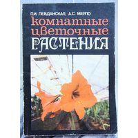 Комнатные цветочные растения. Левданская. Мерло