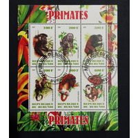 ЛИСТ ФАУНА животные  СТО