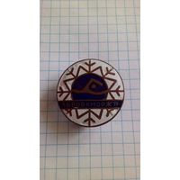 Львов. Клуб "Морж". Латунь. Нечастый знак.