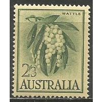 Австралия. Акация. 1959г. Mi#300.