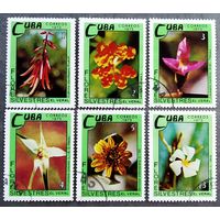 Марки Куба 1973 год Цветы