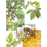 2004 БЕЛАРУСЬ  блок коллекционных марок Фауна. Пчела медоносная MNH