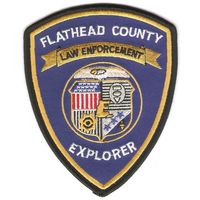 Нарукавный знак исследовательской группы правоохранительных органов округа Флэтхед,штат Монтана,полиции США