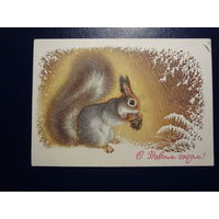 С Новым годом!  1977 г.  Белочка, шишка.  чистая.