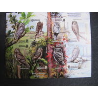 Марки РБ 1546А-1553А. МЛ Птицы Беларуси. Совообразные. Беззубцовый