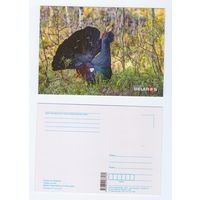 Беларусь. 2019. Планета Беларусь (48-1/5)