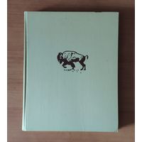 А. Яхонтов. Зоология для учителя. Том 2