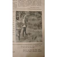 Самовывоз!!! RRR!!!   Закрыта царскими властями в 1909 г. Еженедельная 16-стр.  газета  польской национальной демократии "Zorza wilenska" (Заря Вильна) N 25 18 июня 1909 г. Почтой не высылаю.