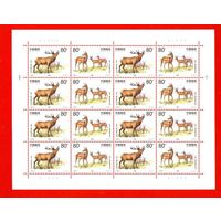 Россия.1999, 18 мая. Фауна. Олени.СОВМЕСТНЫЙ ВЫПУСК.ЧИСТЫЙ ЛИСТ.