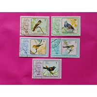 Куба. Птицы. ( 5 марок ) 1986 года. 4-15.