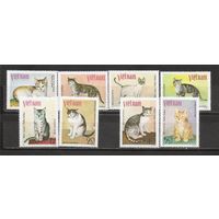 ФФ2 Вьетнам 1979 Кошки