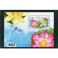 Канада. Флора. Цветы. Лотос