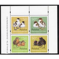 Польша 1997. Фауна. Утки. Сцепка 4 марки. Mi 3686-9