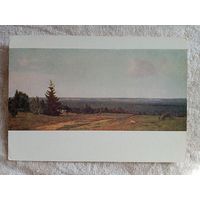 1954. Ширяев. Бор под Шангалами