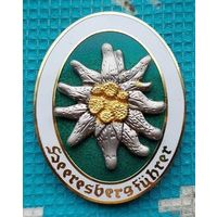 Швейцария знак Эдельвейс. Предложи свою цену или обмен!