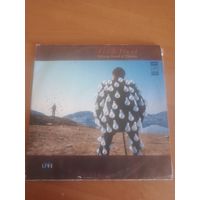 Pink Floyd - delicate sound of thunder. 2LP.