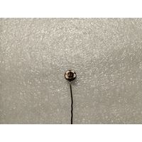 Футбол Динамо Киев т.м