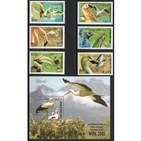 Афганистан 2000. Фауна. Птицы. 6 марок+блок (1944)