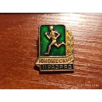 Знак значок Юношеский разряд 2