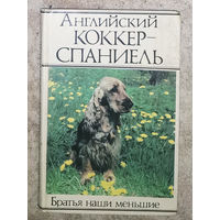 Английский Кокер-Спаниель