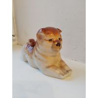 Собака Чау-чау ЛФЗ.