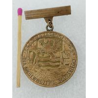 Знак ПНР. За заслуги перед Слупским воеводством. тяжёлый