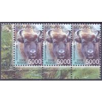 Беларусь стандарт фауна номинал "5000" заказ 394-2008