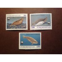 Туркменистан 1993 г.WWF - Защита природы-Каспийская нерпа./п/