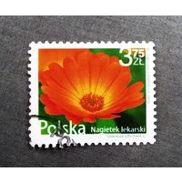 Марка Польша 2009 год Цветы