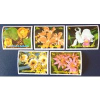 Фуджейра. Цветы.