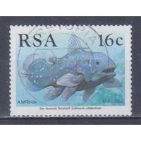 [1337] ЮАР 1989. Фауна.Рыбы. Гашеная марка.