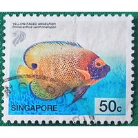 Сингапур 2001. Желтолицый ангел