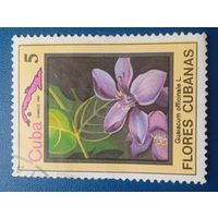 Куба орхидея 1983