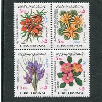 Иран. Флора. Цветы. Праздник прихода весны и Нового года